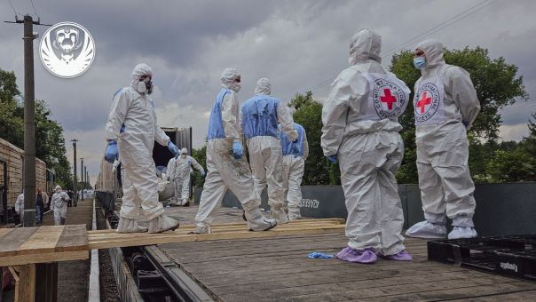 Россия передала Украине еще 1200 тел погибших солдат ВСУ