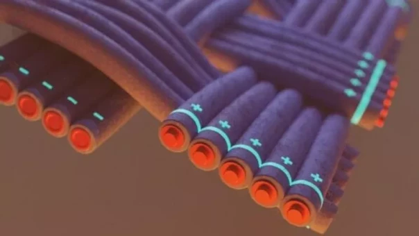 "Шанс для России". Пекин обезоружил главного конкурента