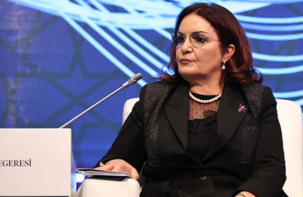 В игру вступили турки: Глава Фонда дружбы Турция — Азербайджан призвала к протестам в России