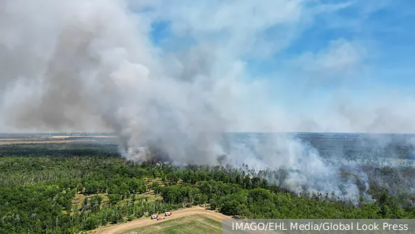 На полигоне в Саксонии произошли взрывы и начался пожар