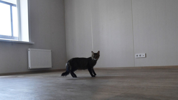 Жители Сумской области начали распродавать жилье за бесценок