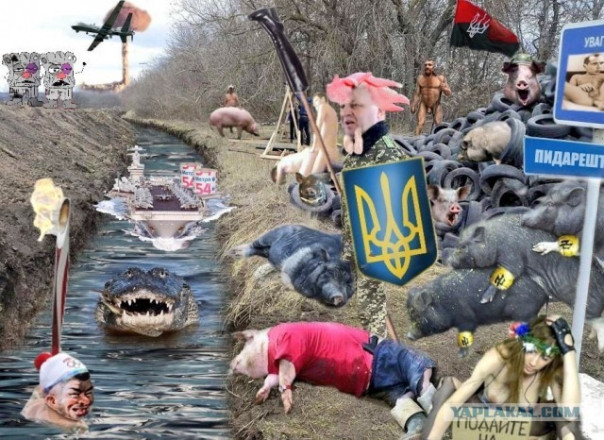 Лохматые диалоги. Русскому Воину от жителя Украины