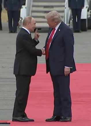 И дохлого гризли уши...