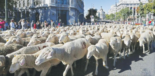 Игорь Левитас: Еще раз про санкции, или Цитируя Брехта