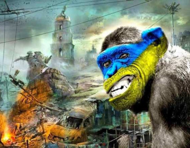 «Квест не пройден»: военкомы VS калитка!