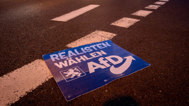 Четыре кандидата от "Альтернативы для Германии" внезапно умерли перед выборами