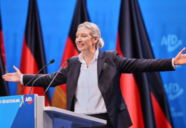 Недопустимая «Альтернатива». Назло недоброжелателям рейтинги АдГ бьют рекорды