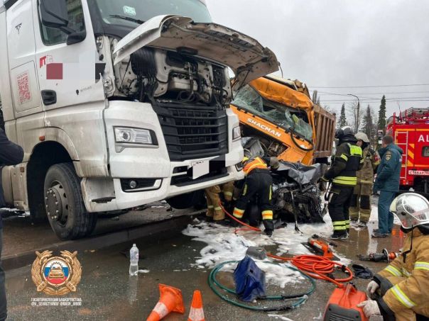 В Уфе "ценный специалист" из Узбекистана на грузовике протаранил 11 машин, двое погибших, шестеро раненых