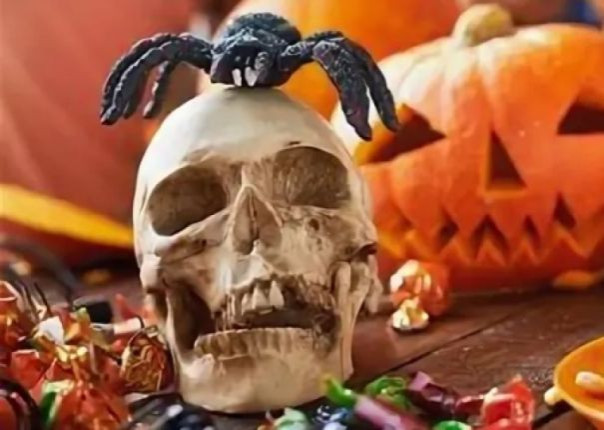 Жители России потеряли интерес к товарам для Хеллоуина