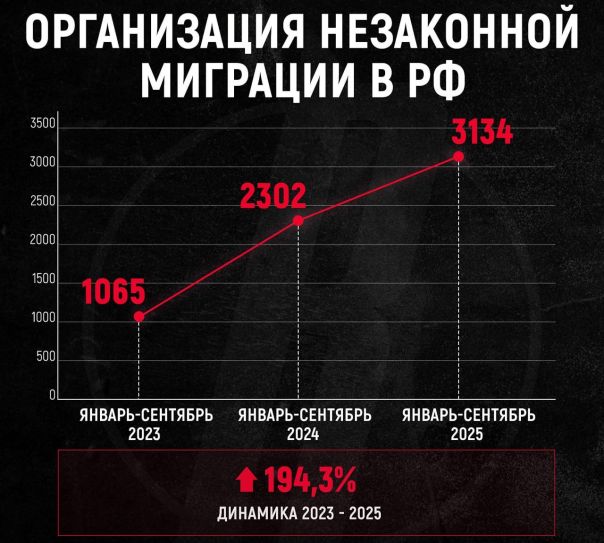В России втрое выросло число дел об организации нелегальной миграции из-за усиления контроля за иностранцами