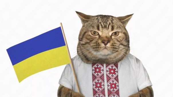Украинская зоолингвистика: когда воров прикрывают котами