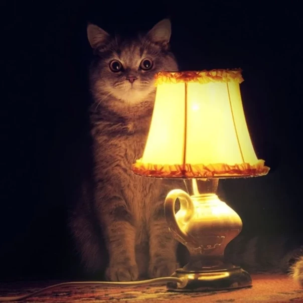 Сказка про хохла и джина