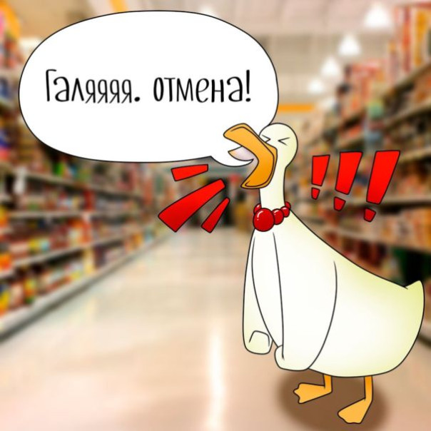 "Галя, у нас отмена!".  Взрыв на железнодорожной линии, ведущей на Украину, в Польше совершили граждане Украины — Туск.