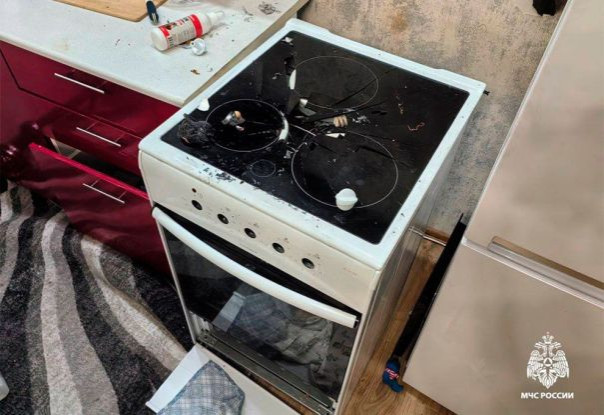 Собака включила конфорки и устроила взрыв в квартире