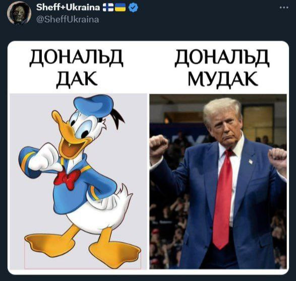 "Мыздобулы" в картинках. Смешных и не очень...28.12.2025