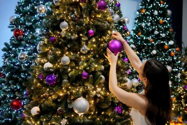 Украшение подъездов и утилизация ёлок: за что грозят крупные штрафы