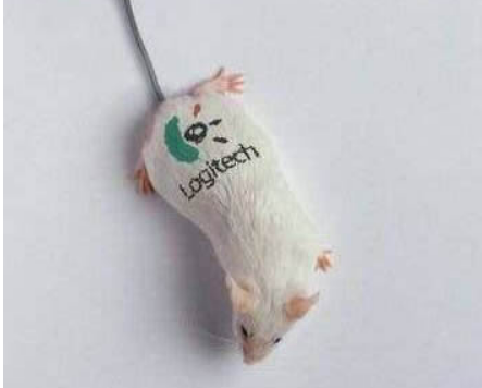 Миллионы мышек Logitech внезапно умерли