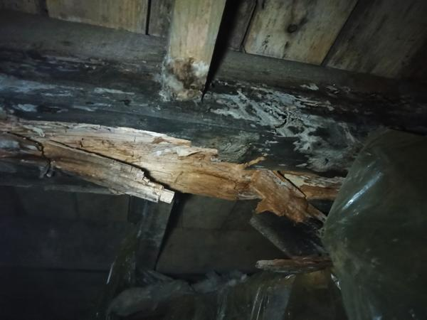 Бабушка красила полы в коричневый цвет каждую весну. Я думал — традиция. Оказалось, наши предки были хитрее, чем мы думаем