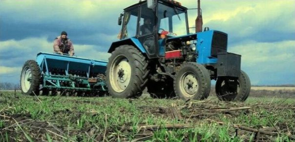 "В заточении, зато живой": на Украине набирают популярность "трудовые убежища"