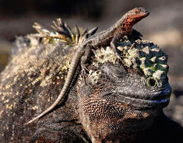 Виктор Мараховский: Минутка жизни