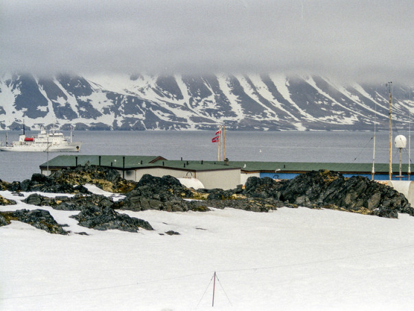 «Мы вас убьём»: в США предупредили Евросоюз из-за Гренландии