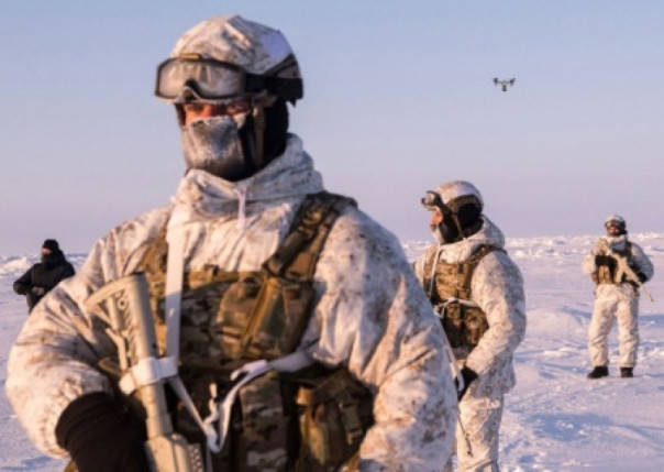 Дания и Гренландия призывают НАТО укрепить присутствие в Арктике