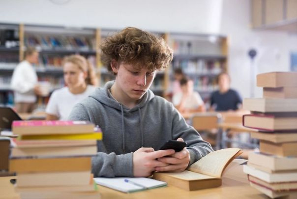 Минпросвещения планирует сократить часы изучения иностранных языков в школах