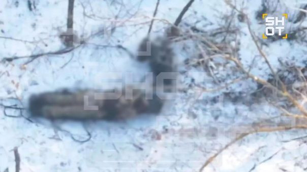 Около сотни солдат ВСУ насмерть замёрзли на окраинах Купянска