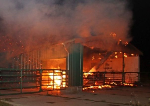 Под Полтавой зафиксировали очередное землетрясение после массированного удара ВС РФ по объекту «Нафтогаза»