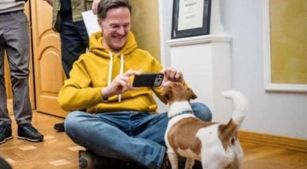 Генсек НАТО Рютте рассказал на конференции по безопасности историю о своей недавней беседе с украинской собакой.