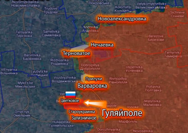 Армия России освободила Цветковое, Запасное, Магдалиновку и Приморское в Запорожской области