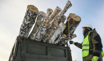 Холодные игры: Латвия и Финляндия выживают без российских дров