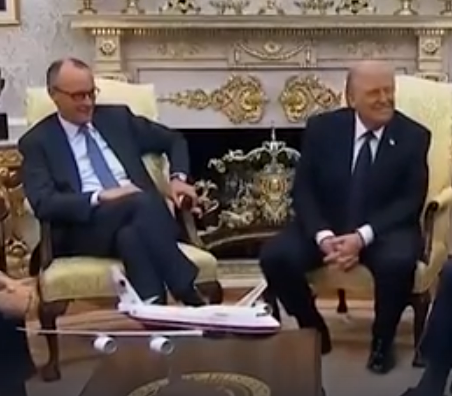 Европейские подсвинки должны быть унижены