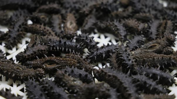 Приморские контрабандисты продали морепродуктов почти на 200 млн рублей