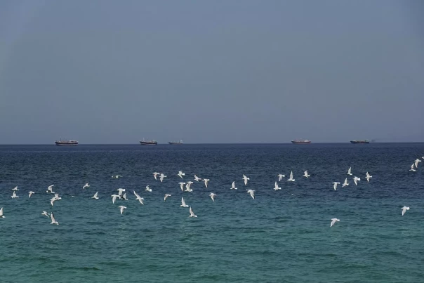 В Ормузский пролив направился караван судов