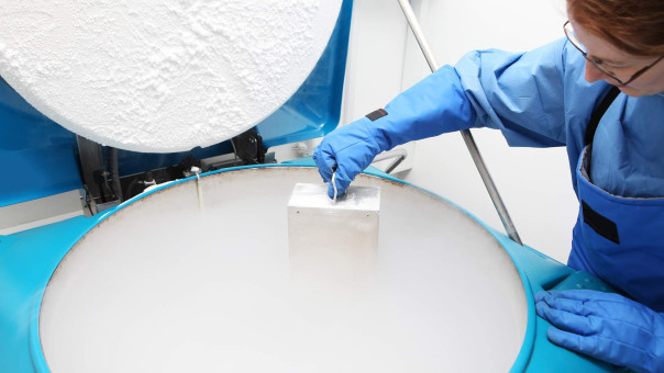 Мозги в банке: как криоконсервация изменит медицину