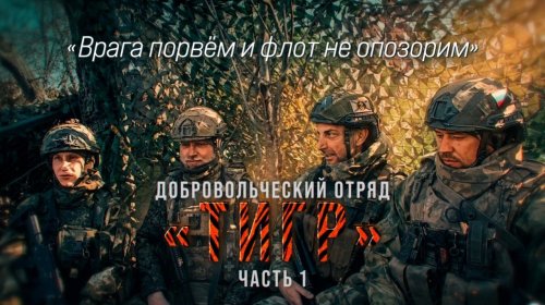 Добровольческий отряд «Тигр»: Врага порвём и флот не опозорим!