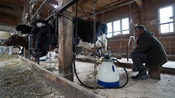 Тяжёлые коды: фермеры попросили Минпромторг отменить маркировку их продукции