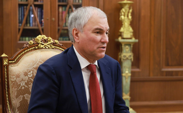 Володин пояснил отзыв проекта о лишении гражданства за отказ от воинского учёта