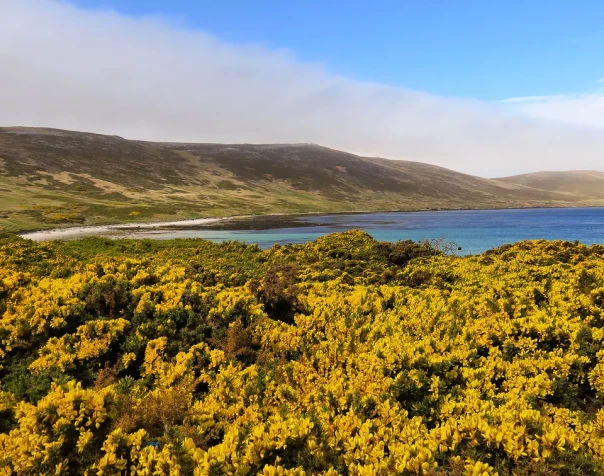 Фолклендский кризис: Британские СМИ в истерике