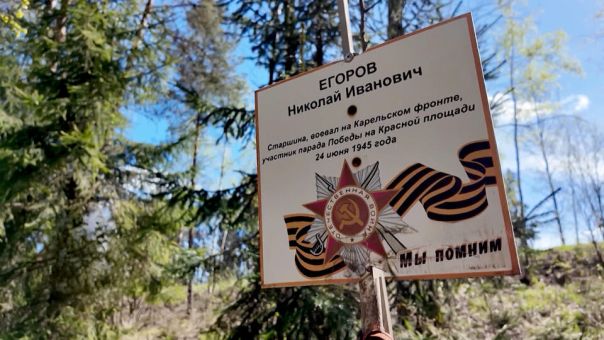 Живой памятник героям Великой Отечественной войны создали в деревне в Ленобласти