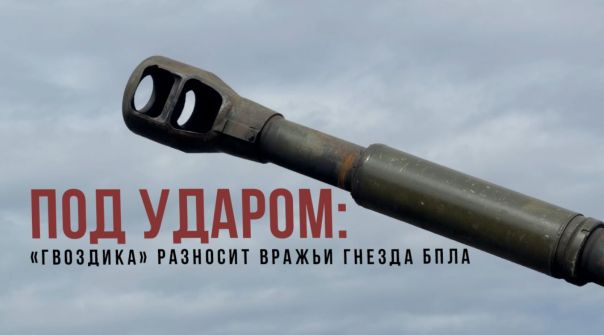 Спецрепортаж WG «Под ударом: «Гвоздика» разность вражьи гнезда БПЛА»