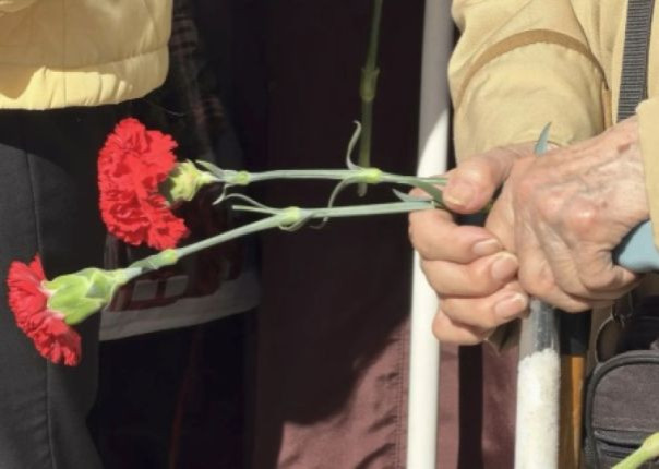 Парад курьёзов 9 Мая: чиновники на плакатах, орангутан Бату и «двойное счастье» матери пропавшего бойца
