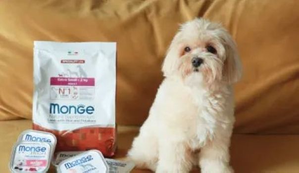 Monge Veterinary: специализированное питание для здоровья собак и кошек