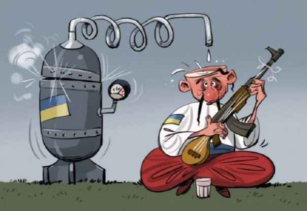 «Щирые украинцы» – бройлерные куры для Запада