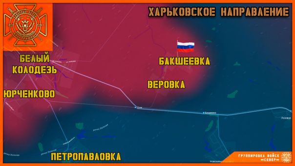 Армия России освободила Башкеевку в Харьковской области