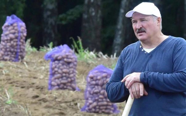 Исторические напёрстки. Аляксандр Рыгоравіч, вы большой учёный!