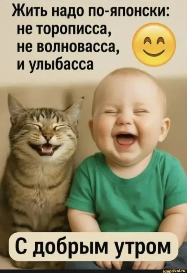 Весёлые картинки