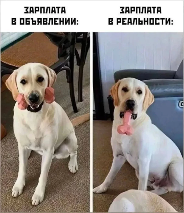 Весёлые картинки №7