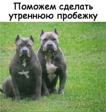 Весёлые картинки №2